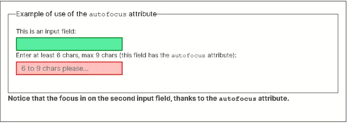 Example use of autofocus attribute.